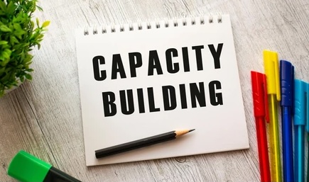 Individual (Career Seeker) Capacity Building